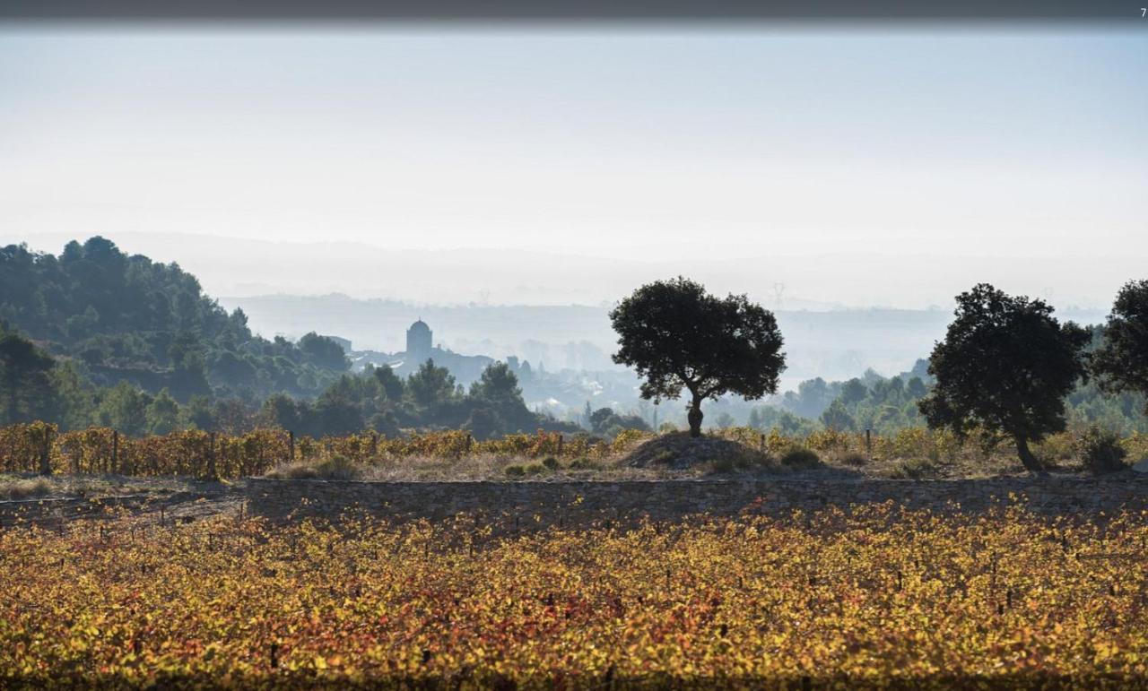 La Maison De Leontine La Liviniere ภายนอก รูปภาพ